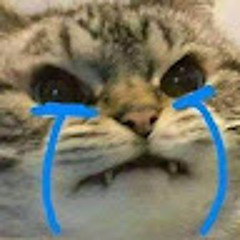 Thái Phong Nguyễn