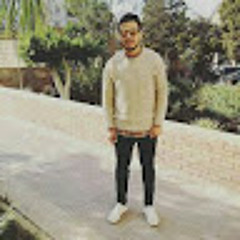 Ahmed Elbassiouny