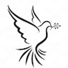 Saini Consultancy Service