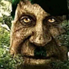 Максон Необезательно