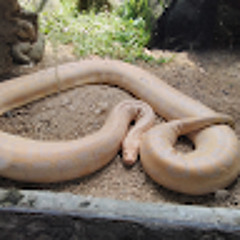 MIGUEL ANGEL RODRIGUEZ