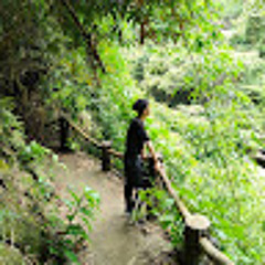 Tiến Tạ