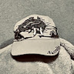 音雲限定界隈ごちゃ混ぜプレイリスト