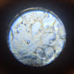 Виктория Шваюк