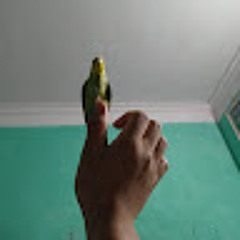 Đạt Nguyễn Văn