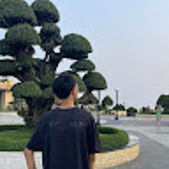 Đăng Hồ (CUBIN)