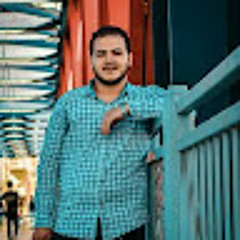 Ahmed Bogy