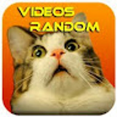 Vídeos Random !!