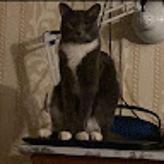 Данил Авдюков