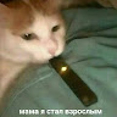 лох дибил