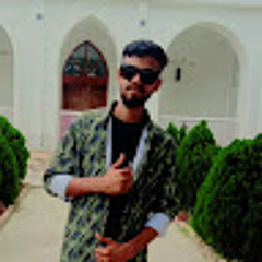 Md Swadhin Mahamud