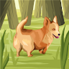 なんだよぷっちょ