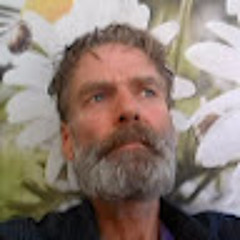 Hille Arjen