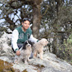 marco antonio zavala