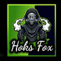 Hoks fox