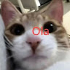 Naim gonzalez saldana