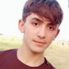 Muhammad Yasir Taheri