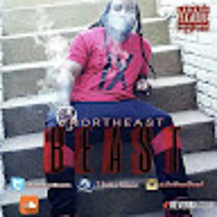 Northeast Beast