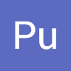 Pu Pu