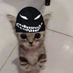 Дима Кондрашов