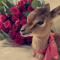 Thabya Alhosani