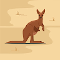 jayslapit.410 J-