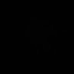 Lv Zcr