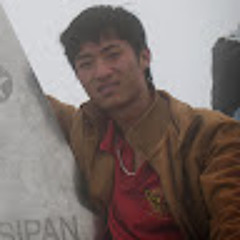 việt hưng nguyễn