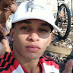 Vinicius Willian Silva