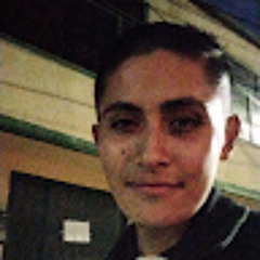 Carlosandrescastilloleon