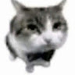 Thykyo
