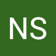 NS Testing