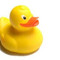 Mr.duck