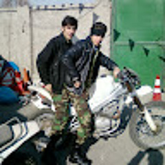 shahin farahzadi