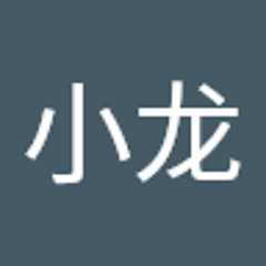 小米龙小龙