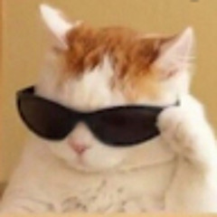 Даня Капашинов