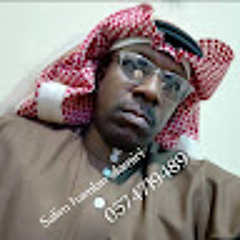 Salimhamlanalamiri85