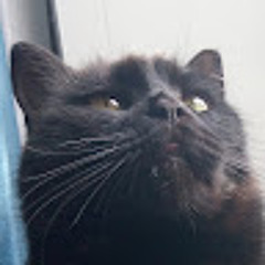 Иван Левада