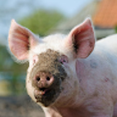 Гчдатада Лчбаоадвл