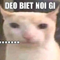 Phi long 9 Lê
