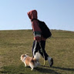 빈번하게구내염