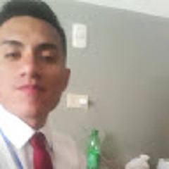 Anjelo Caceres Flores