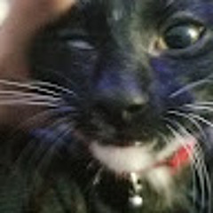 Charles B (Charley)
