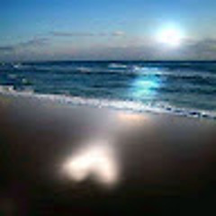 rehabrehab741@gmail.com