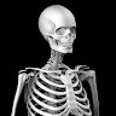 Ну допустим Я