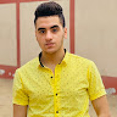 mohamed elgohary
