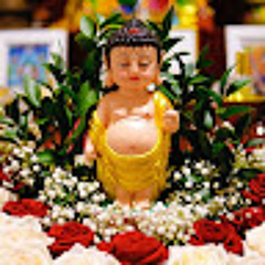 Minh Trí 9A