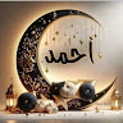 احمد ميدو