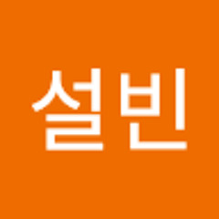 손설빈