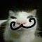 Chems Pich